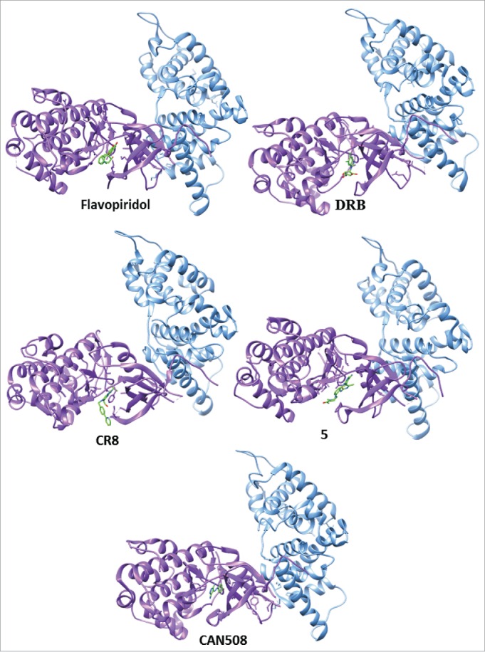 Figure 2.