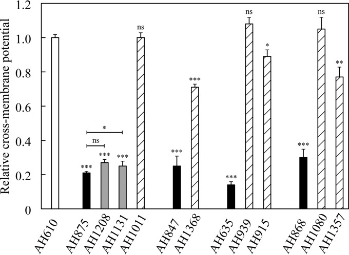 FIG 1 