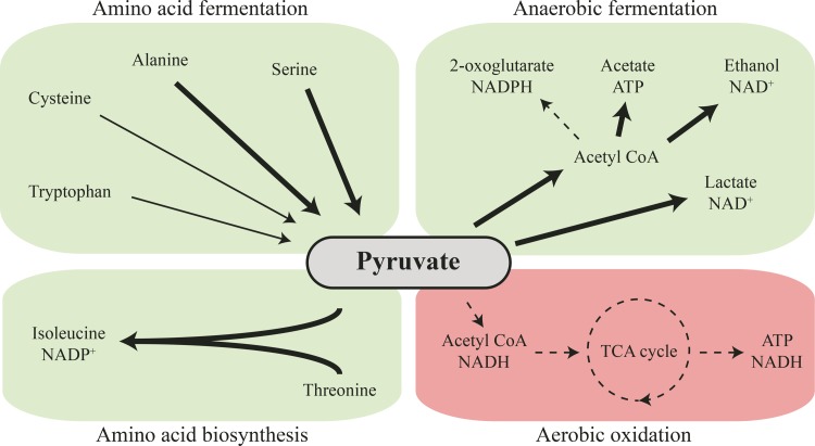 FIG 4 