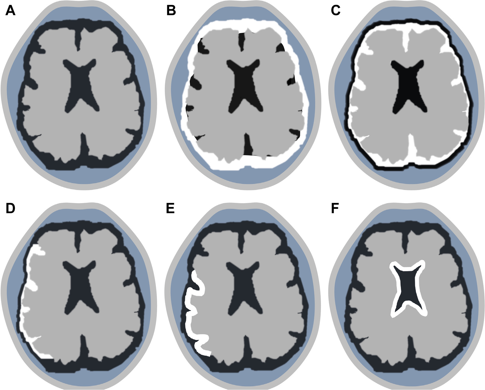 Fig. 5.