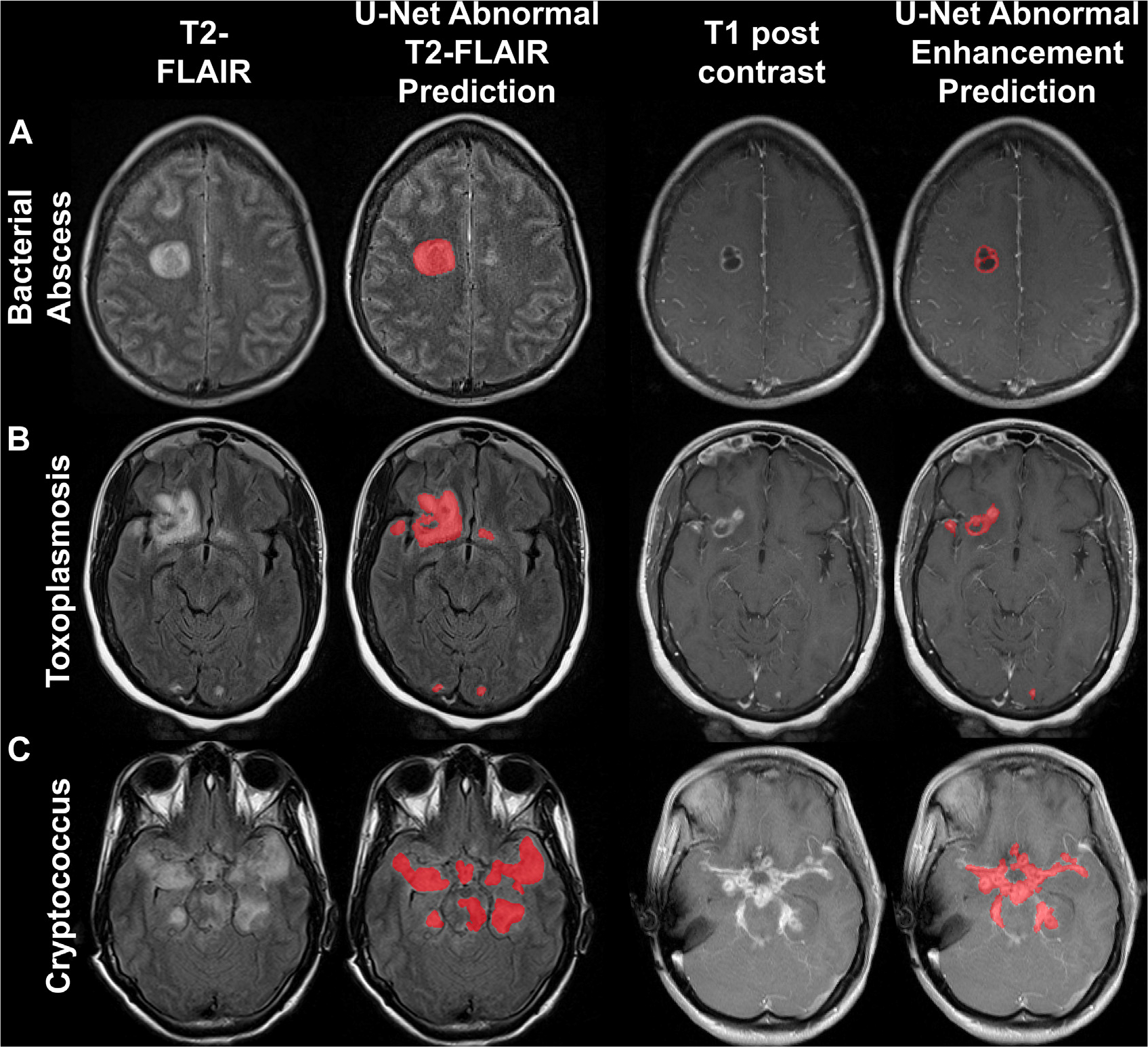 Fig. 13.