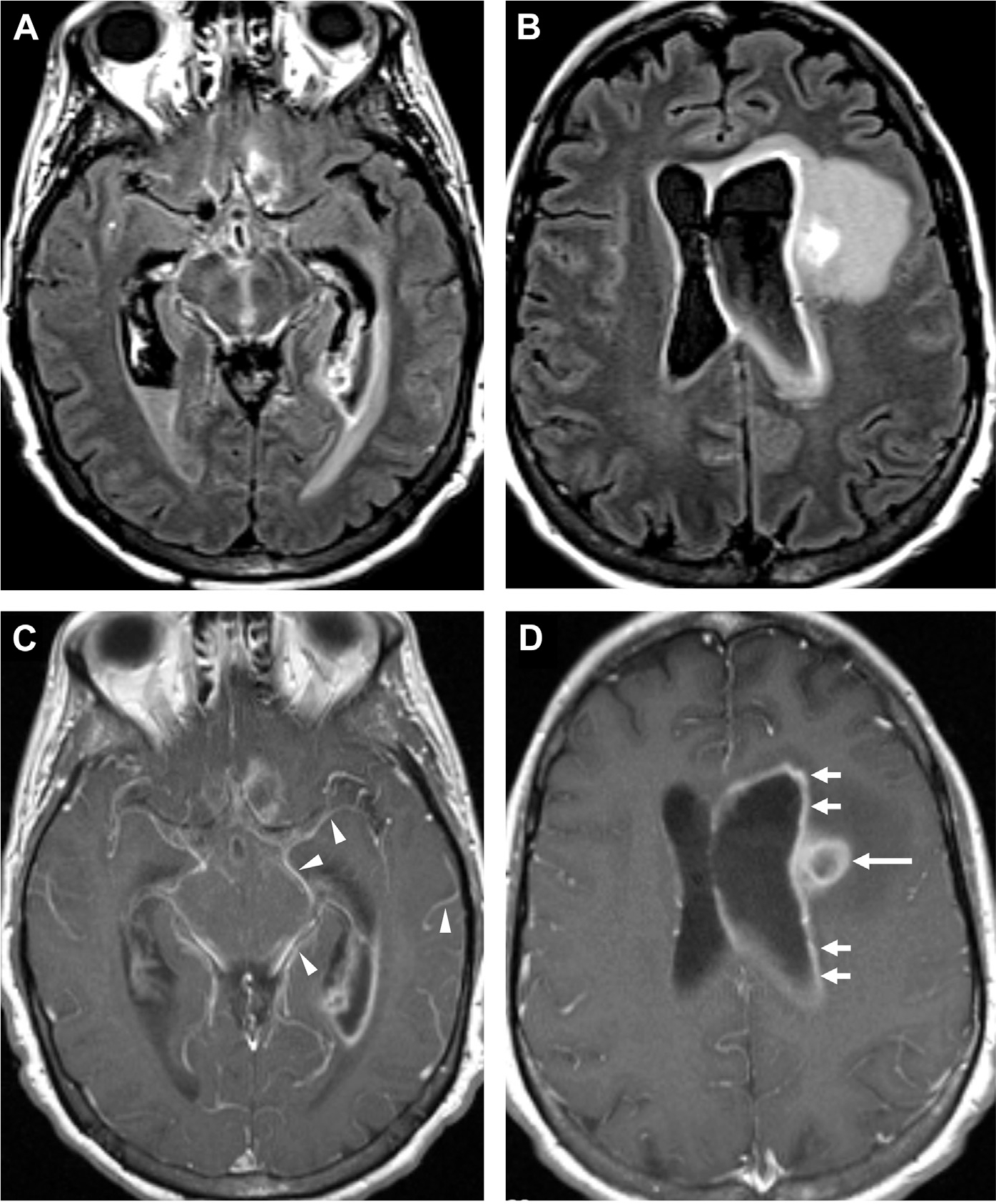 Fig. 8.