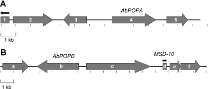 Fig. 7.