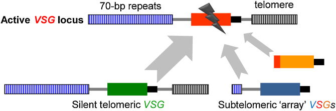 Fig. 2