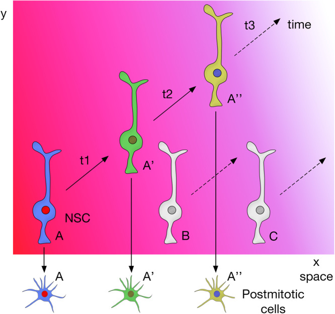 FIGURE 4