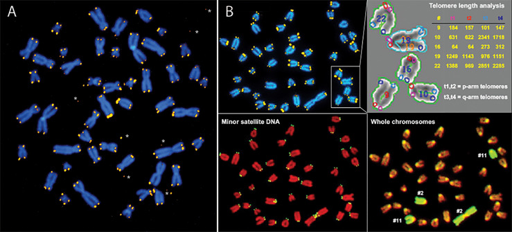 Figure 1