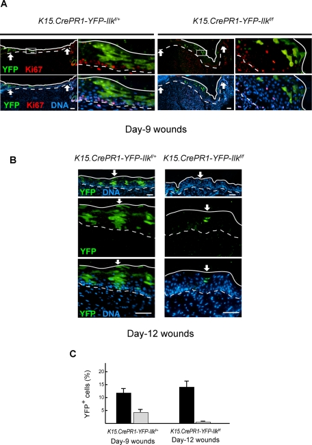 FIGURE 6: