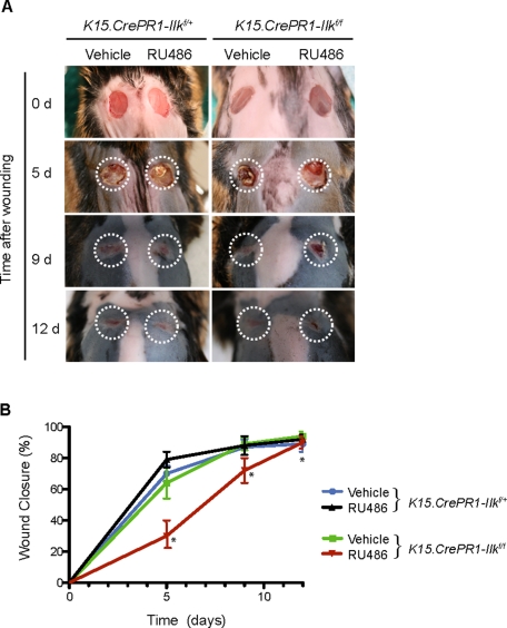 FIGURE 4: