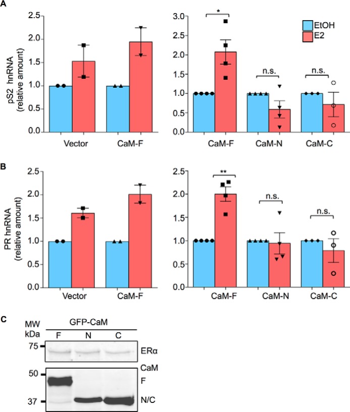 FIGURE 4.