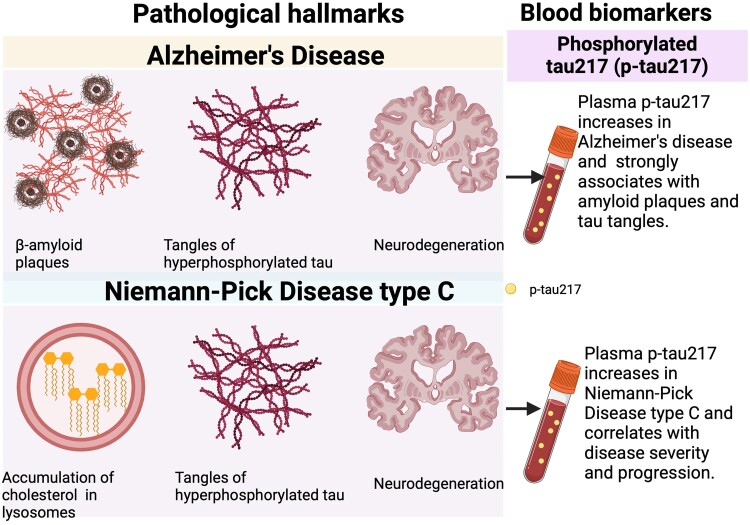 Graphical Abstract