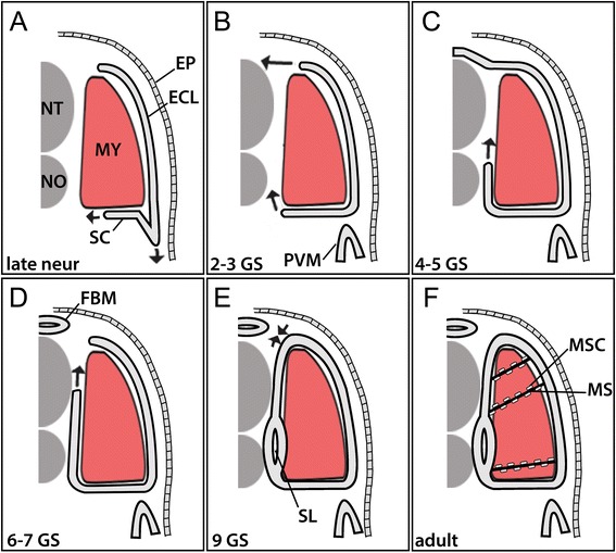 Figure 17