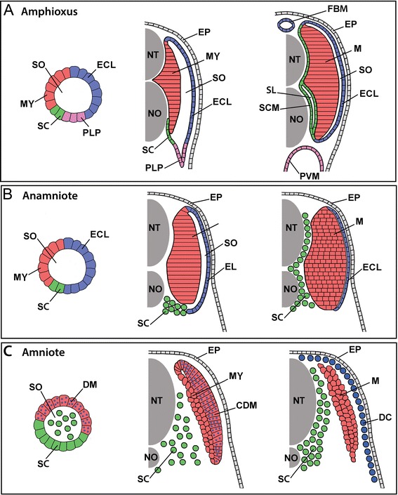 Figure 18