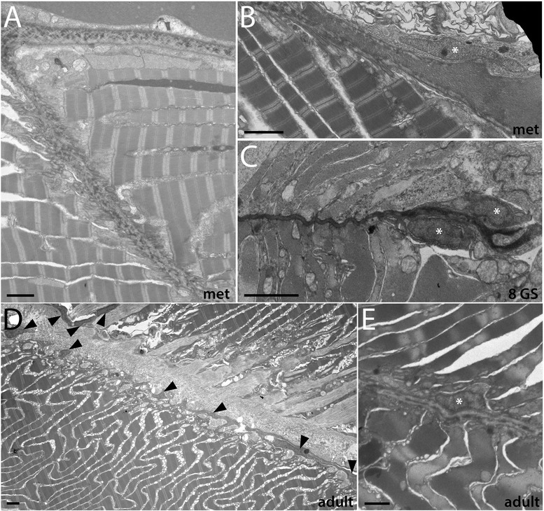 Figure 14