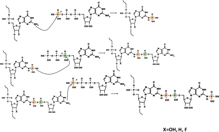 Figure 6.