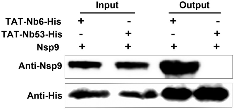 FIG 4