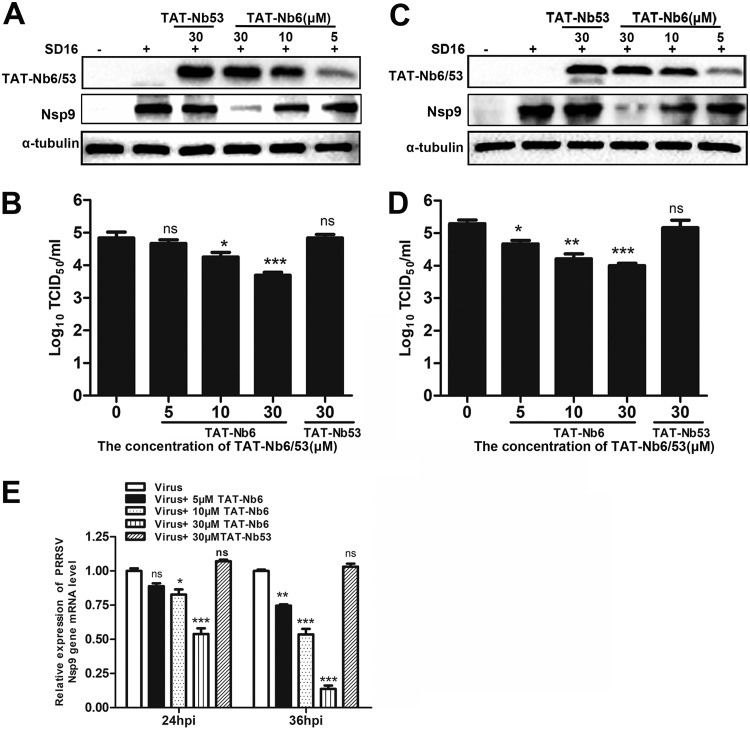 FIG 6