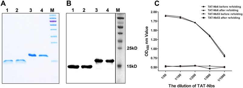 FIG 1