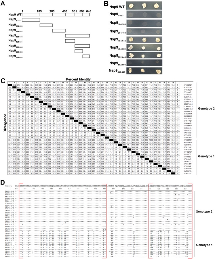 FIG 8