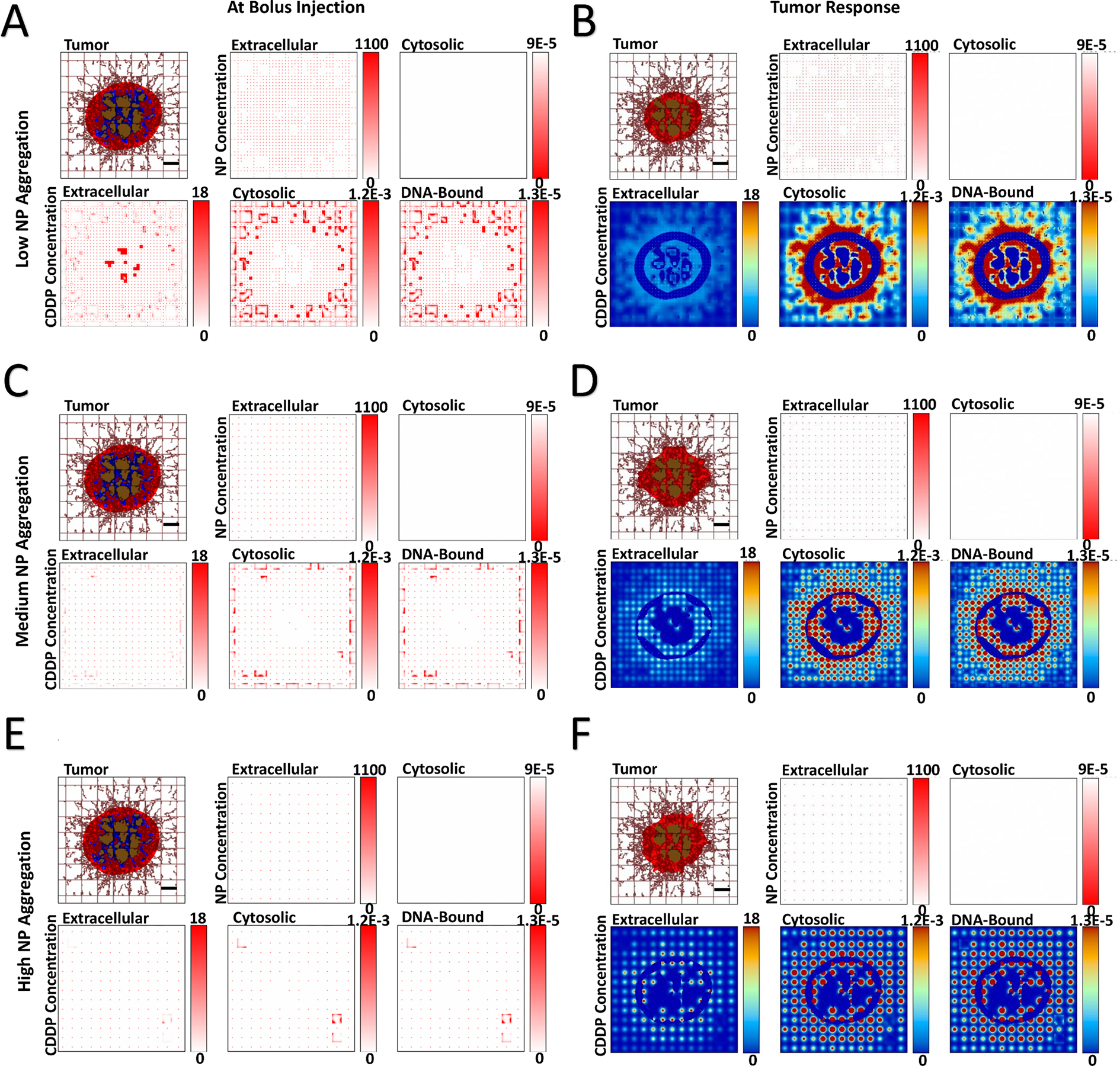 Figure 3 -