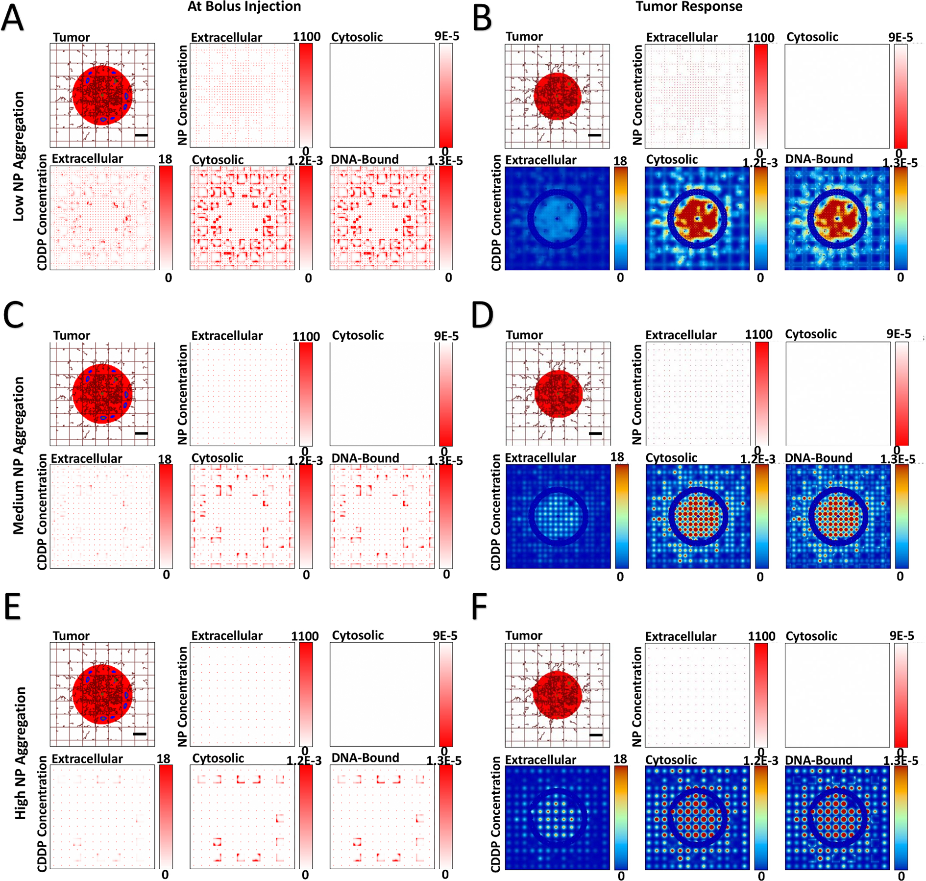 Figure 4 -