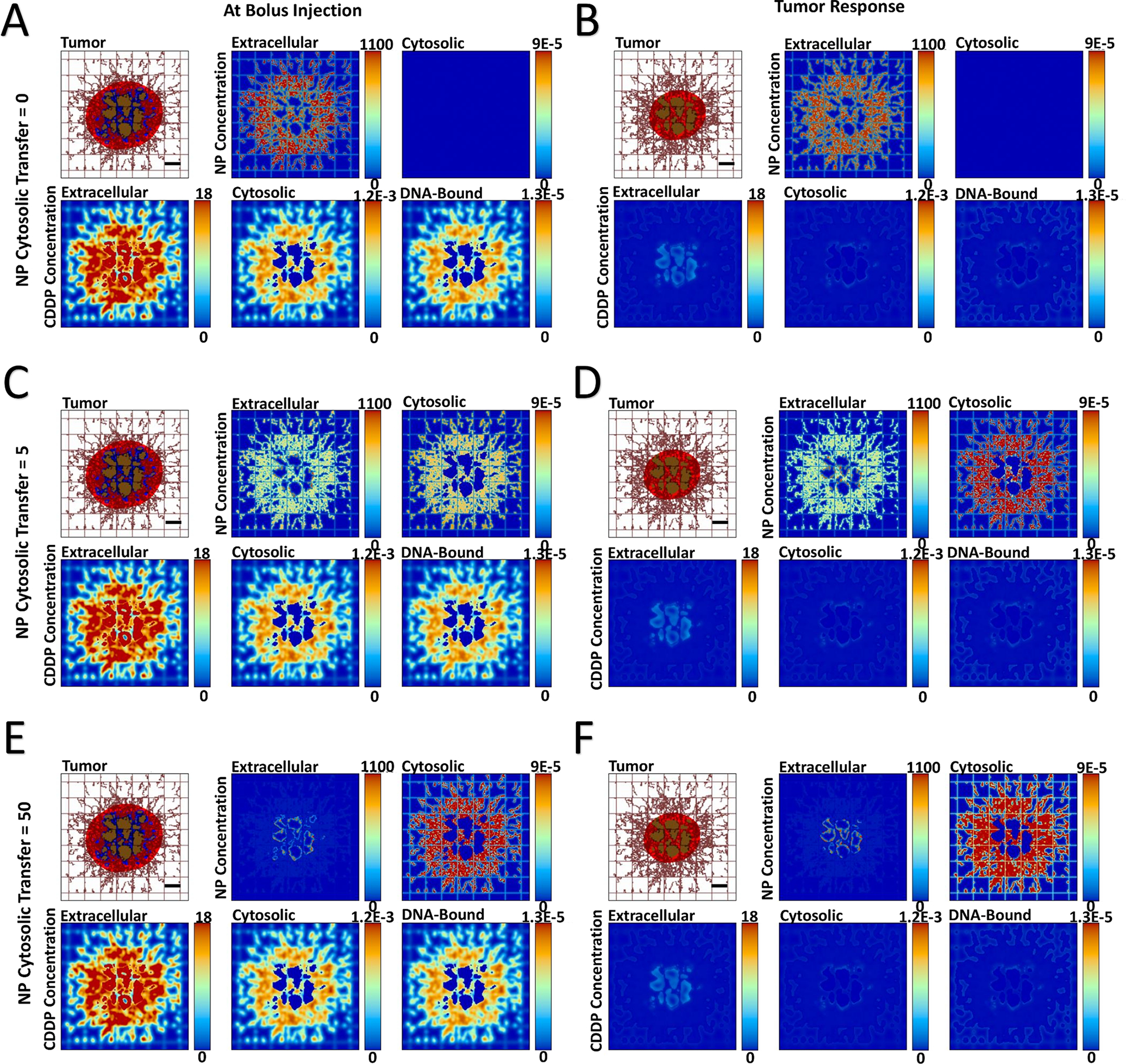 Figure 1 -