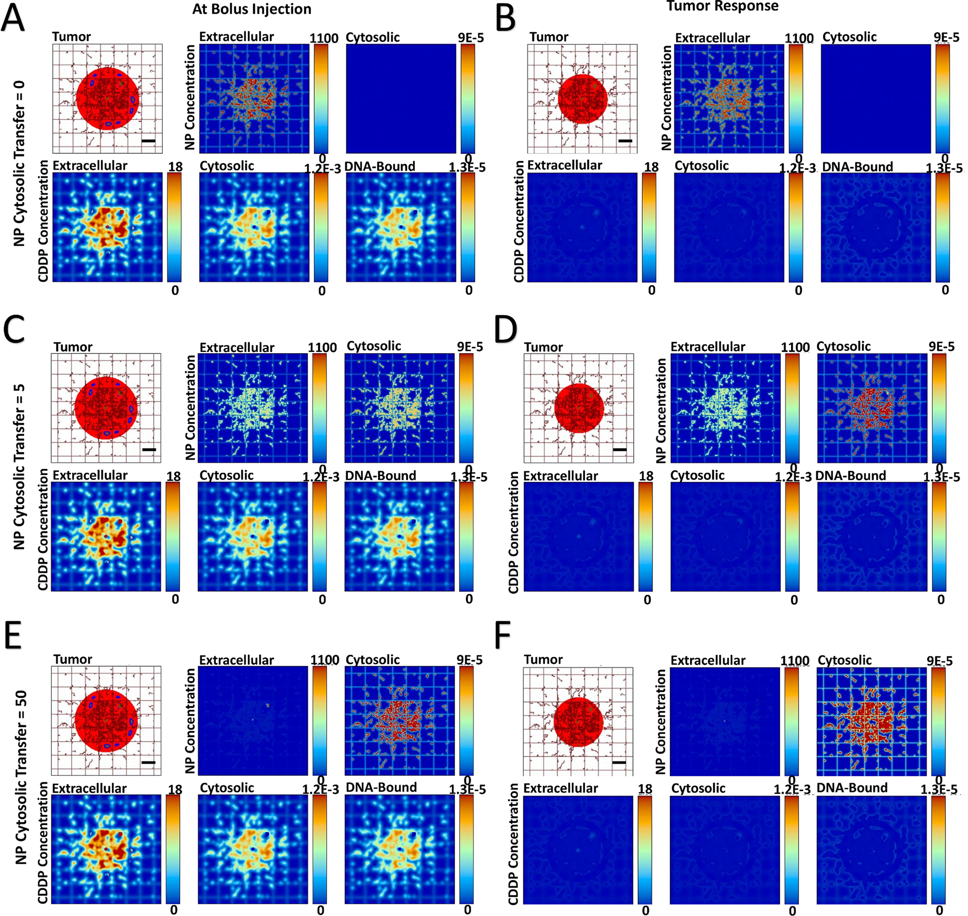 Figure 2 -