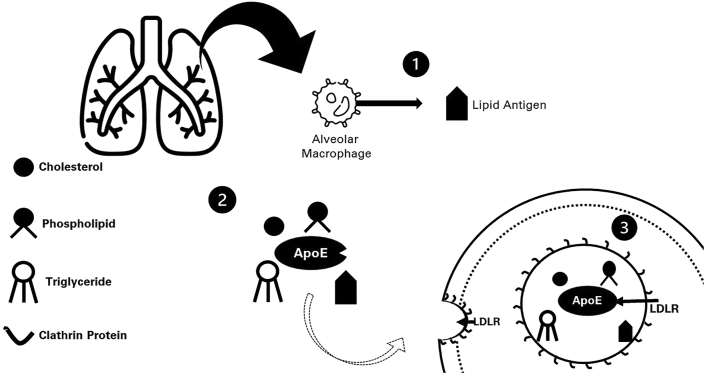 Figure 1