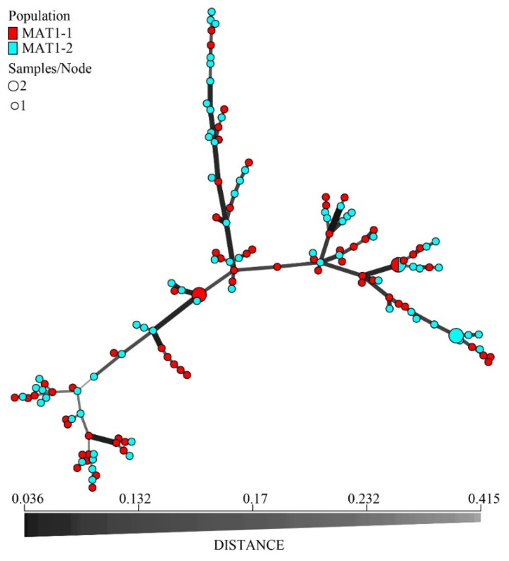 Figure 9