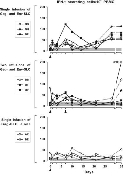 FIG. 2.