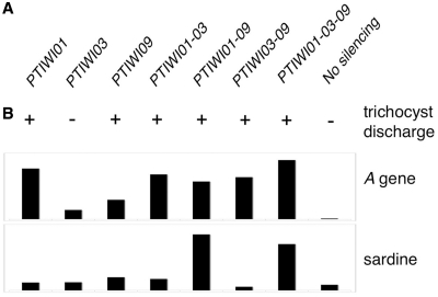 Figure 5.