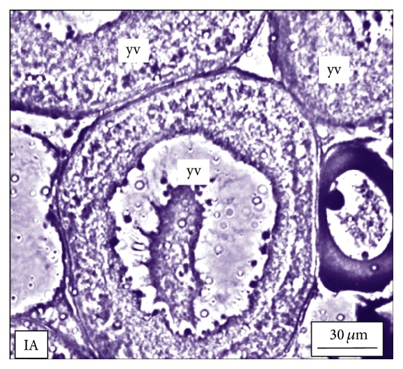 Figure 10