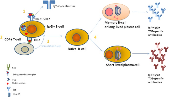 Figure 4