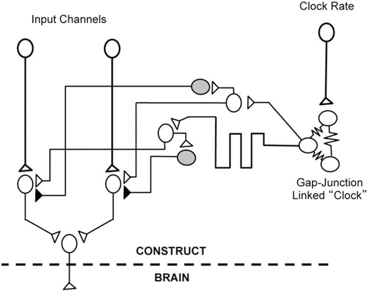 Figure 7.