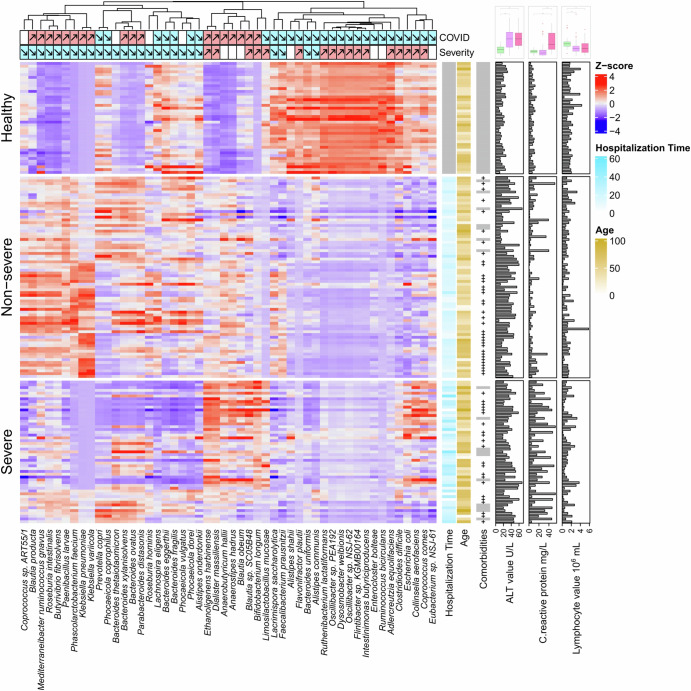 Taxon procaryote le plus abondant dans le microbiote de la population marocaine associé au COVID-19. Les couleurs sur la carte thermique représentent l'abondance à l'échelle (Z-score) de chaque taxon dans les échantillons. Les flèches au-dessus de la carte thermique correspondent aux résultats des analyses multivariables: la direction de chaque flèche indique si le taxon est plus ou moins abondant chez les patients COVID-19 par rapport aux sujets sains, et chez les patients sévères par rapport aux patients non sévères. La carte thermique a été divisée en trois groupes correspondant à des sujets sains, des patients non sévères et des patients sévères. Sur le côté droit de la carte thermique, le temps d’hospitalisation de chaque patient, son âge, sa présence de comorbidités, sa valeur ALT, son taux de protéines C-réactive et son nombre de lymphocytes sont affichés. Les histogrammes en haut à droite illustrent les différences de valeur de l'ALAT, du taux de protéines C-réactives et du nombre de lymphocytes entre les sujets sains, les patients non sévères et les patients sévères.