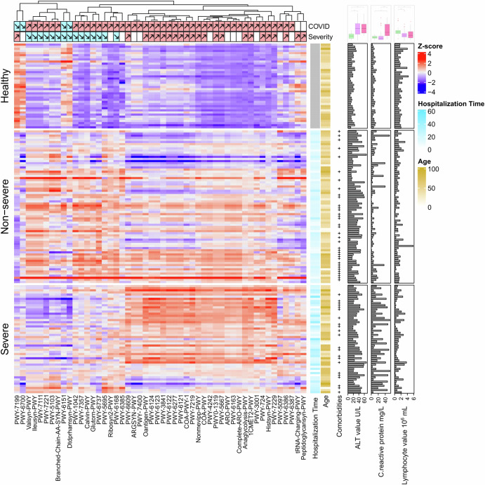 Les voies les plus abondantes dans le microbiote de la population marocaine associée à l'infection à la COVID-19. Les couleurs sur la carte thermique représentent l'abondance à l'échelle (Z-score) de chaque voie dans les échantillons. Les flèches au-dessus de la carte thermique correspondent aux résultats des analyses multivariables: la direction de chaque flèche indique si la voie est plus ou moins abondante chez les patients COVID-19 par rapport aux sujets sains, et chez les patients sévères par rapport aux patients non sévères. La carte thermique a été divisée en trois groupes correspondant à des sujets sains, des patients non sévères et des patients sévères. Sur le côté droit de la carte thermique, le temps d’hospitalisation de chaque patient, son âge, sa présence de comorbidités, sa valeur ALT, son taux de protéines C-réactive et son nombre de lymphocytes sont affichés. Les histogrammes en haut à droite illustrent les différences de valeur de l'ALAT, du taux de protéines C-réactives et du nombre de lymphocytes entre les sujets sains, les patients non sévères et les patients sévères.