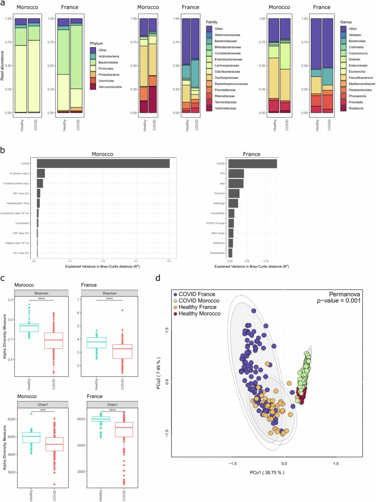 Association entre l'infection à la COVID-19 et la composition en microbiote des cohortes marocaines et françaises. a Abondance relative de taxons procaryotes dans le microbiote des patients marocains et français COVID-19 et des sujets sains aux niveaux de phylum, de famille et de genre. b Variation expliquée dans la distance de Bray-Curtis (R 2) calculée à partir de tests PERMANOVA dans la population marocaine et française. Aucune association significative n’a été observée (FDR p value > 0,05) pour d’autres détails démographiques, covariables, ou informations de cours hospitaliers. c Indices de la diversité alpha (Shannon’s H et Chao1) calculés à partir des tableaux taxonomiques bruts des patients marocains et français COVID-19 et des sujets sains. Les tests de Wilcoxon ont été utilisés pour comparer les groupes. *p < 0,05; **p < 0,01; ***p < 0,001; ****p < 0,0001. d PCoA ont été construits à partir des matrices de dissemblance de Bray-Curtis construites à partir de l'abondance normalisée d'espèces de chaque microbiote. Les ellipses ont été attirées autour des centroïdes de chaque communauté émergente à des intervalles de confiance de 95% (intérieurs) et 97% (extérieurs).