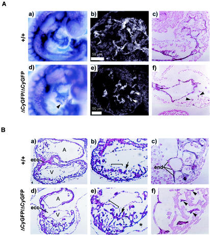 FIG. 6.