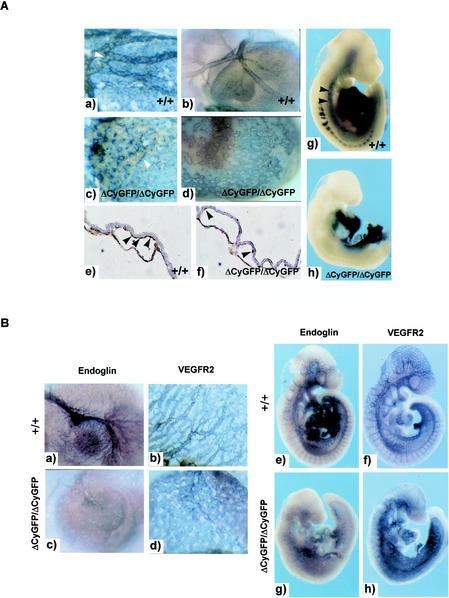 FIG. 7.