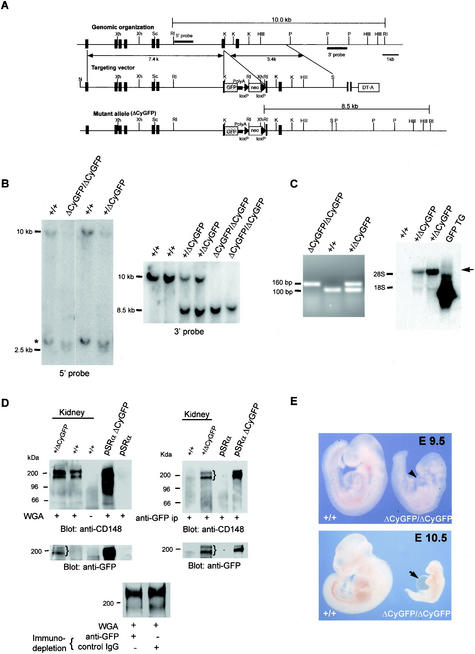 FIG.1.