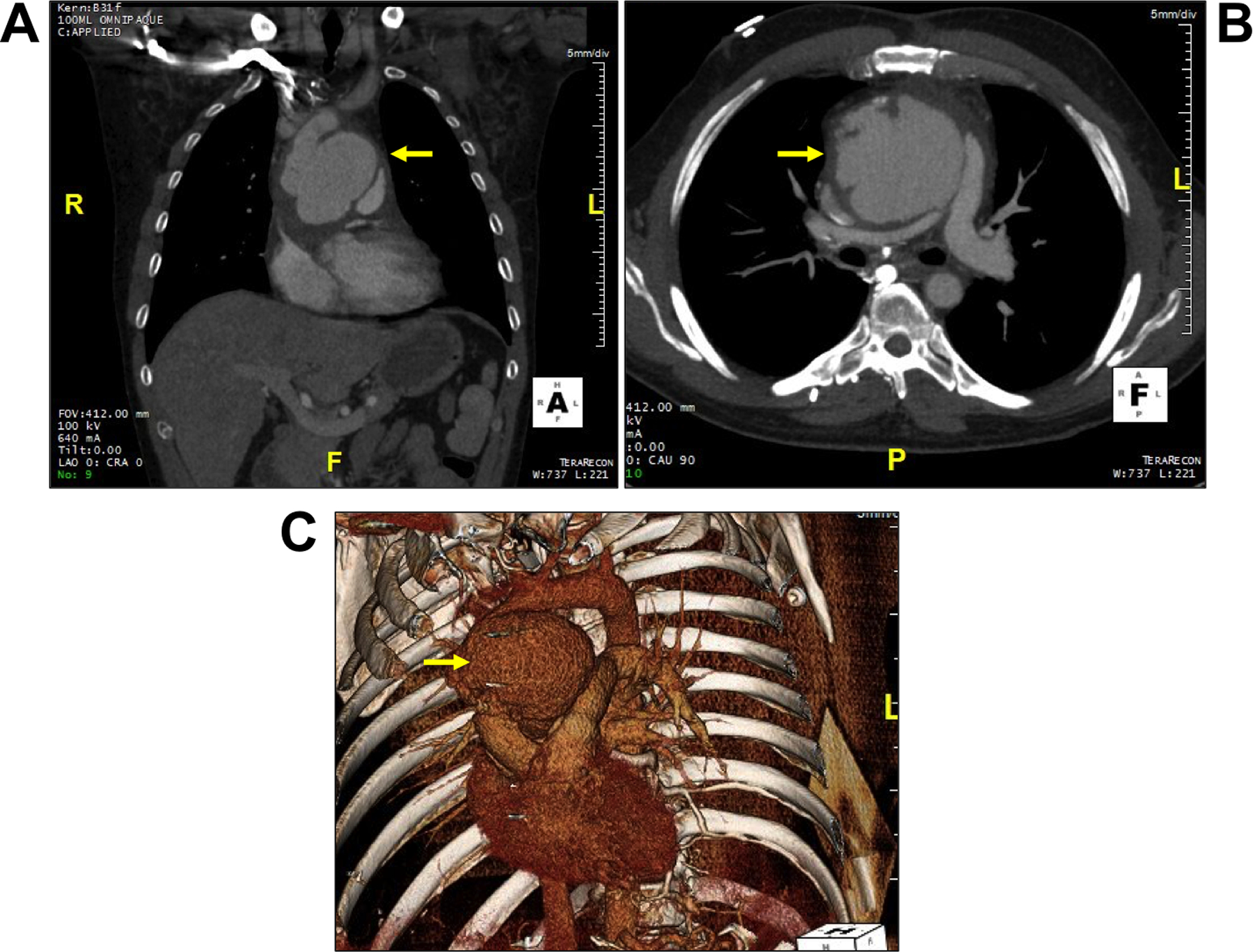 FIGURE 1.