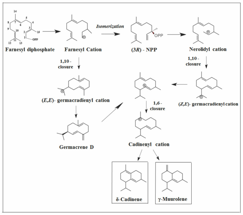 Figure 10