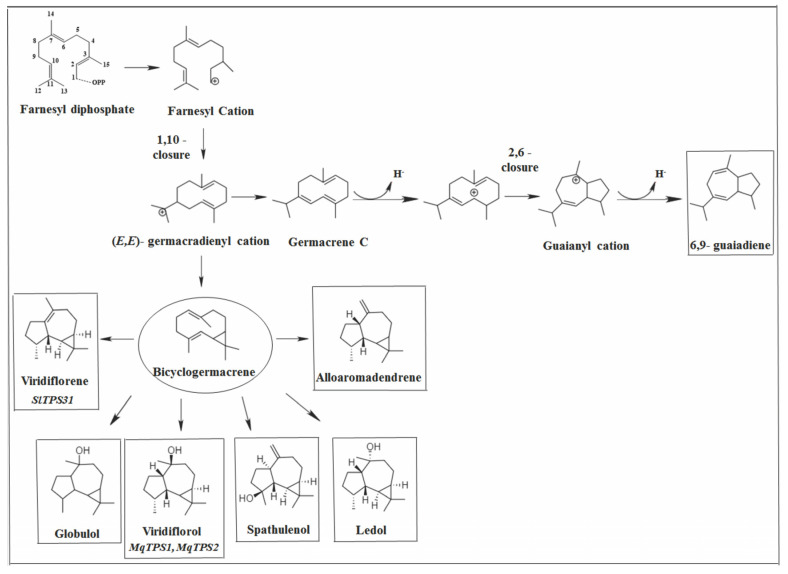 Figure 12