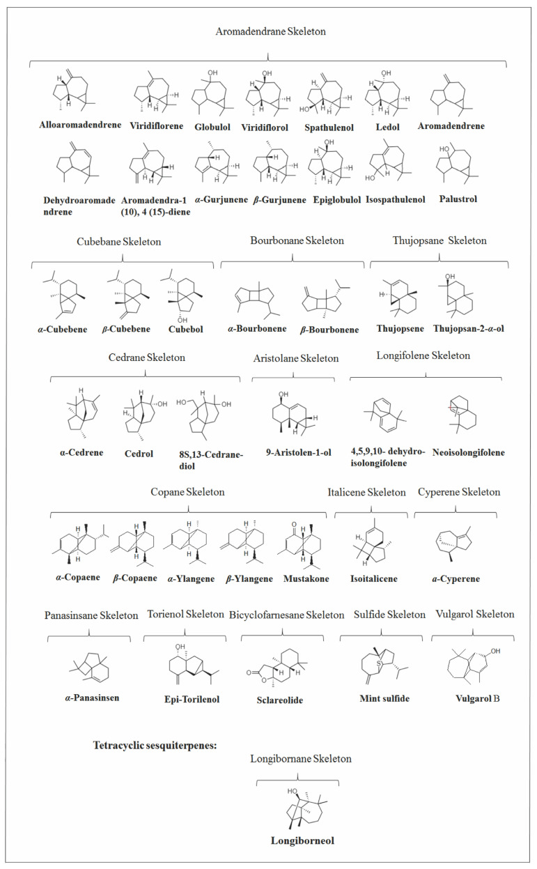 Figure 13