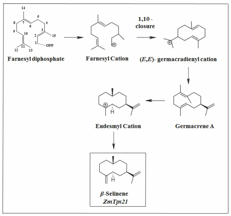 Figure 11