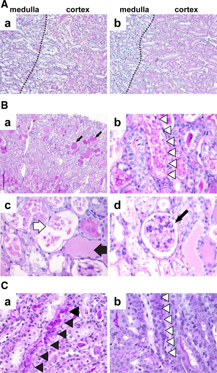 Fig. 6