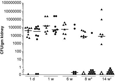 FIG. 6.