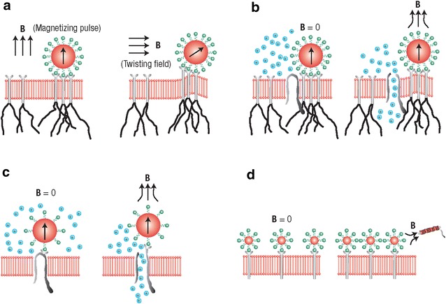 Fig. 3