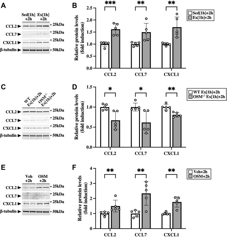 Figure 6