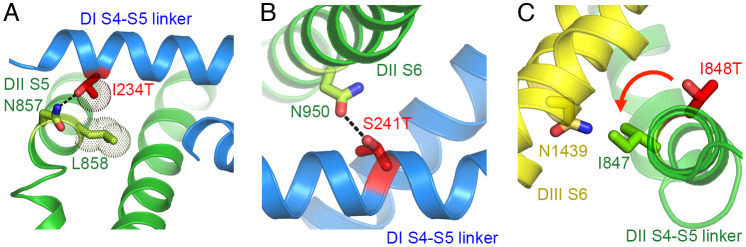 Fig. 6.