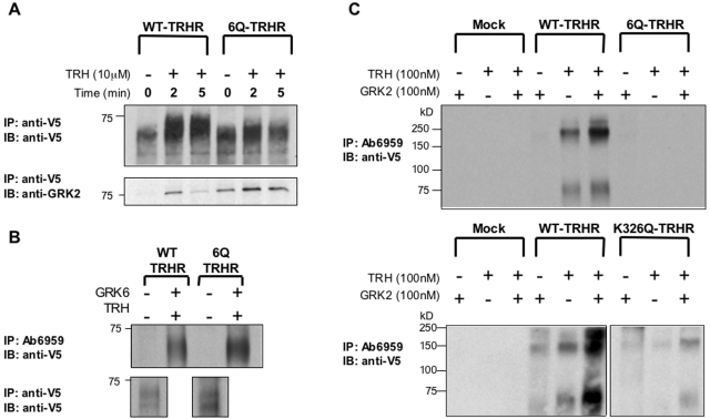 Fig. 9.